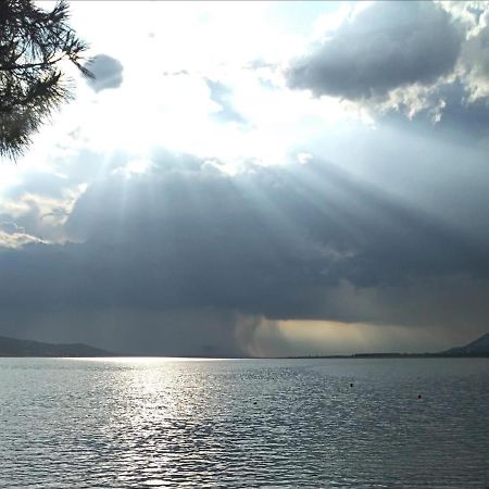 Solis Adriaticum Apartments Ясенице Экстерьер фото
